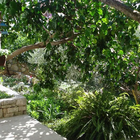 Apartment By The Sea Milna, Brac - 735 Milna (Brac)